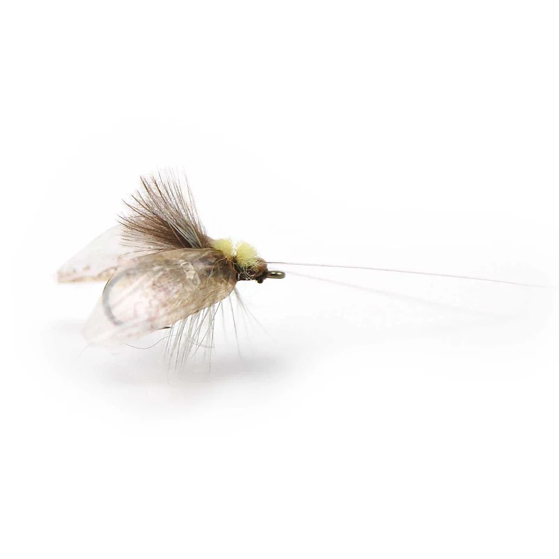 Caddis Adult - Olive