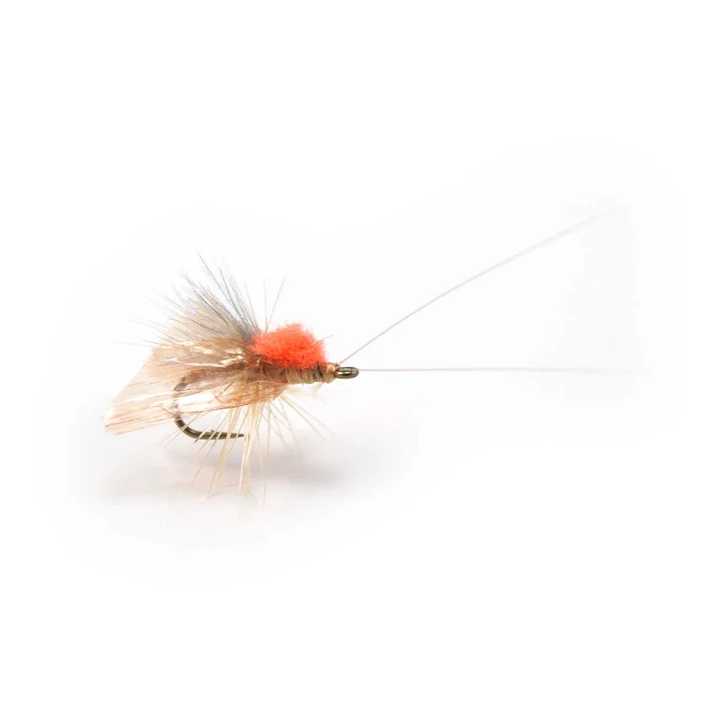 Caddis Adult - Tan