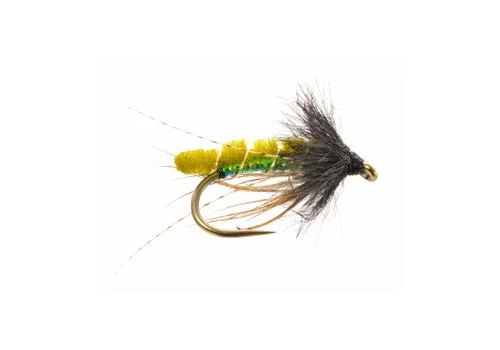 Caddis Pupa