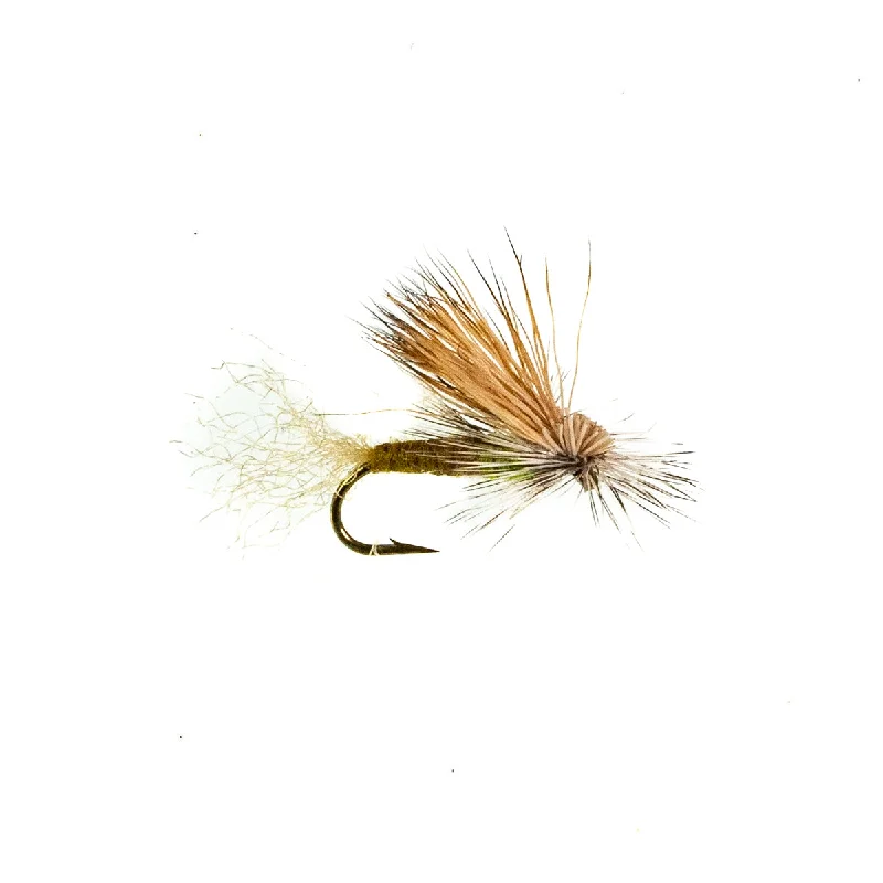 E/C Caddis