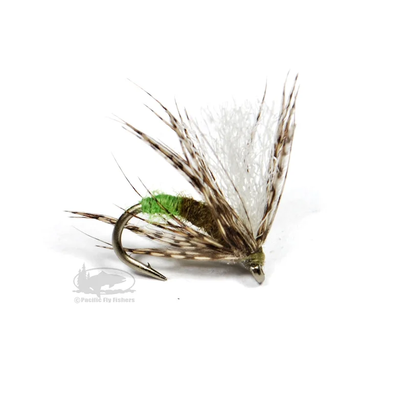 Galloup's Downed Caddis - Olive