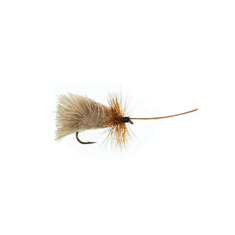 Goddard Caddis