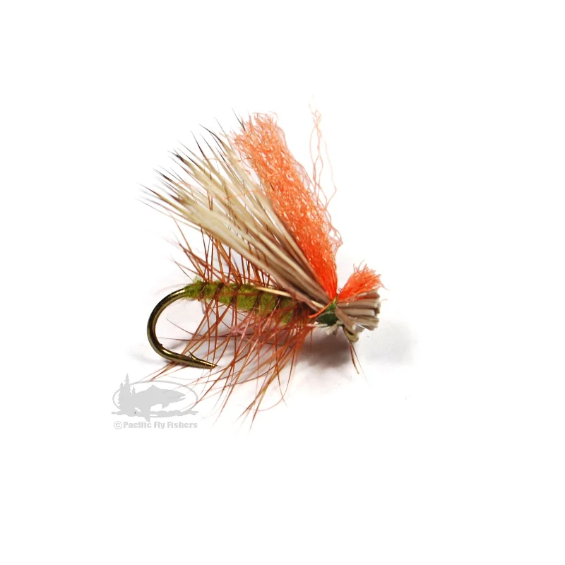 Hot Wing Caddis - Olive