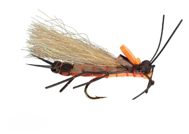 Salmonfly