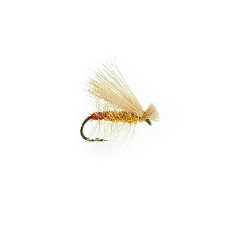 Little Yellow Stonefly