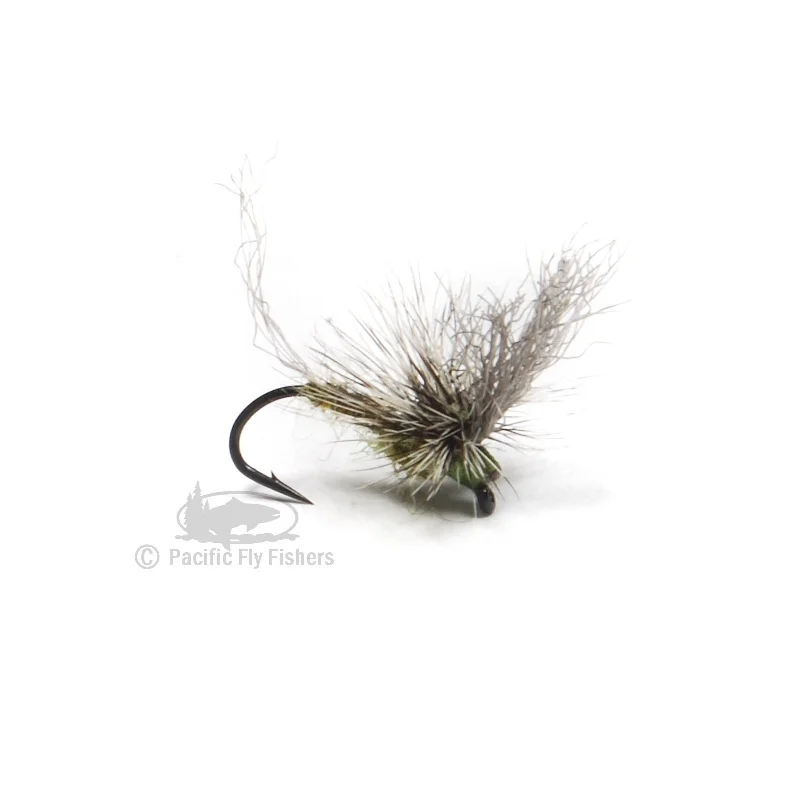 Morrish May Day - BWO