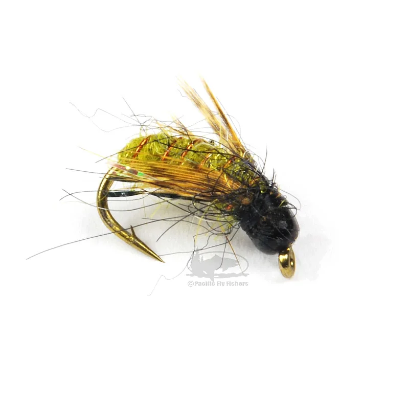 Morrish Super Pupa - Olive