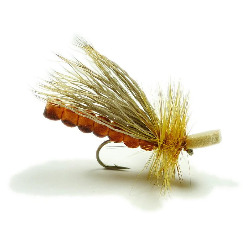 Morrish's October Caddis Adult