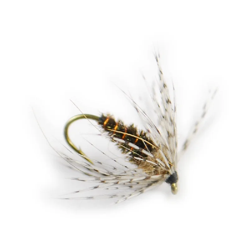 Partridge and Peacock Soft Hackle