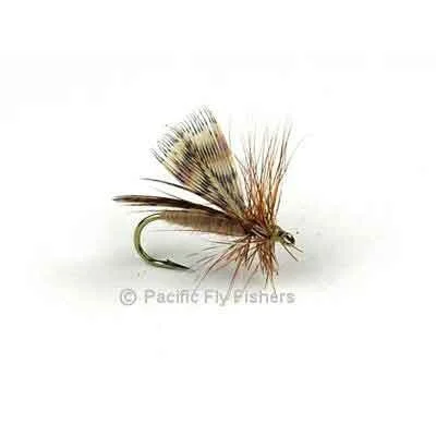 Spent Partridge Caddis - Tan