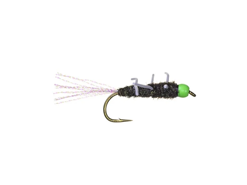 TDF Peacock Girdle Bug