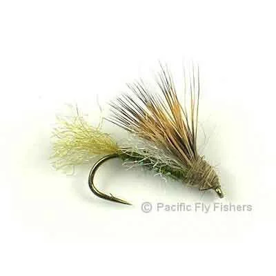 X2 Caddis - Olive